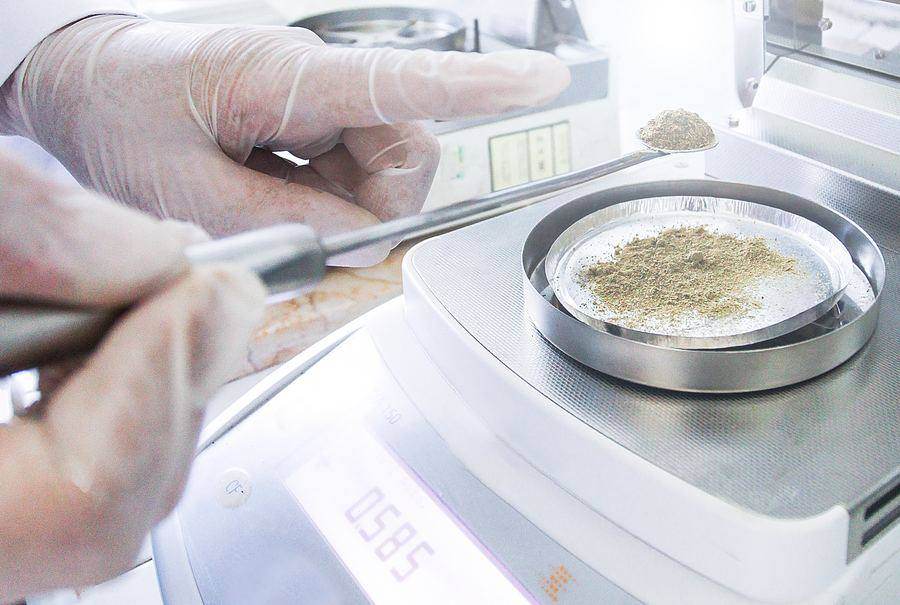 A gloved hand using tweezers to examine spice samples in a laboratory pan