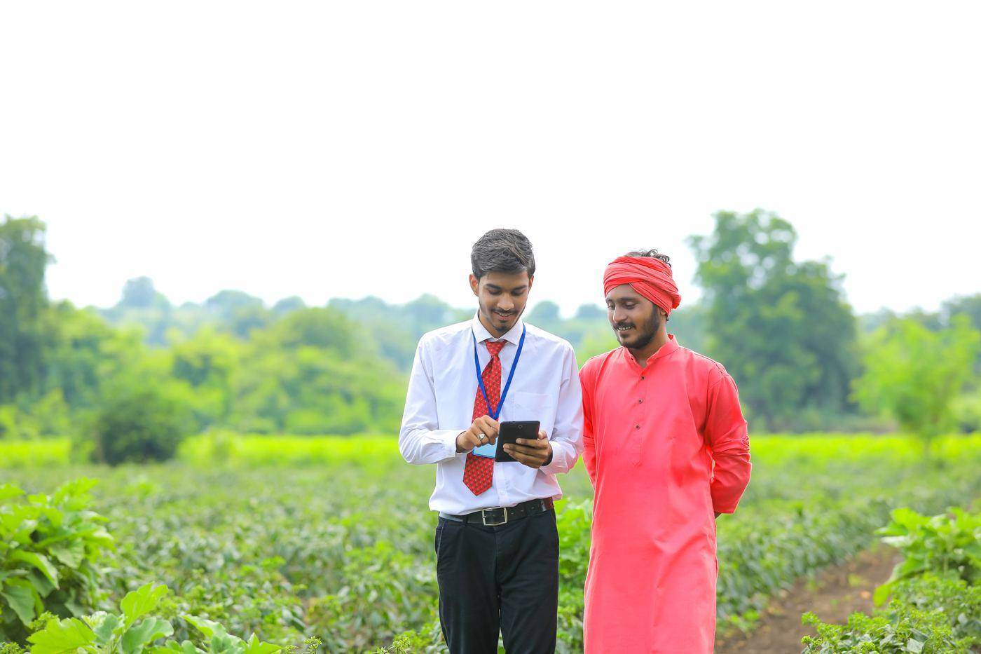 A Vimovi field officer and a grower standing together in a crop, checking intake details on a tablet